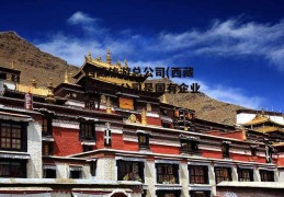 西藏旅游总公司(西藏旅游总公司是国有企业吗)