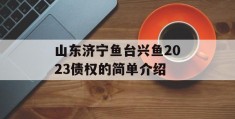 山东济宁鱼台兴鱼2023债权的简单介绍