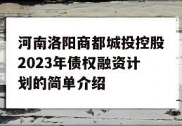 河南洛阳商都城投控股2023年债权融资计划的简单介绍