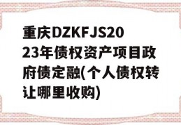 重庆DZKFJS2023年债权资产项目政府债定融(个人债权转让哪里收购)