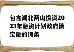 包含湖北两山投资2023年融资计划政府债定融的词条