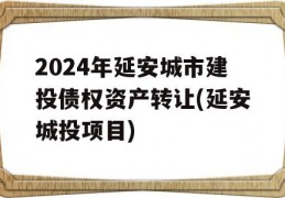 2024年延安城市建投债权资产转让(延安城投项目)