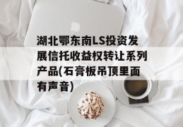 湖北鄂东南LS投资发展信托收益权转让系列产品(石膏板吊顶里面有声音)