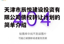 天津市辰悦建设投资有限公司债权转让计划的简单介绍