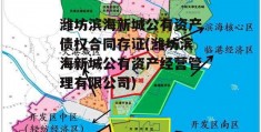 潍坊滨海新城公有资产债权合同存证(潍坊滨海新城公有资产经营管理有限公司)