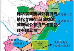 潍坊滨海新城公有资产债权合同存证(潍坊滨海新城公有资产经营管理有限公司)