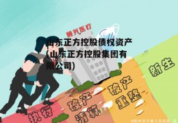 山东正方控股债权资产(山东正方控股集团有限公司)