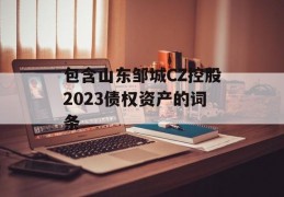 包含山东邹城CZ控股2023债权资产的词条