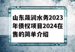 山东晟润水务2023年债权项目2024在售的简单介绍