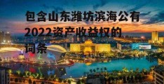 包含山东潍坊滨海公有2022资产收益权的词条