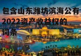 包含山东潍坊滨海公有2022资产收益权的词条