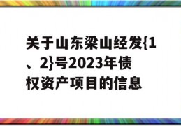 关于山东梁山经发{1、2}号2023年债权资产项目的信息