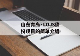 山东青岛·LGJS债权项目的简单介绍