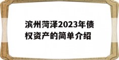 滨州菏泽2023年债权资产的简单介绍