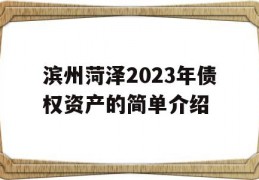 滨州菏泽2023年债权资产的简单介绍