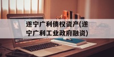 遂宁广利债权资产(遂宁广利工业政府融资)