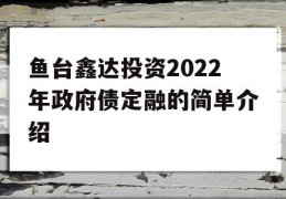 鱼台鑫达投资2022年政府债定融的简单介绍