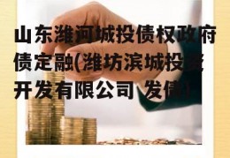 山东潍河城投债权政府债定融(潍坊滨城投资开发有限公司 发债)