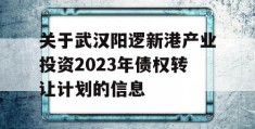 关于武汉阳逻新港产业投资2023年债权转让计划的信息