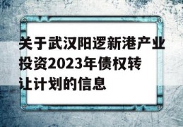 关于武汉阳逻新港产业投资2023年债权转让计划的信息