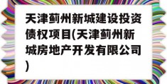 天津蓟州新城建设投资债权项目(天津蓟州新城房地产开发有限公司)