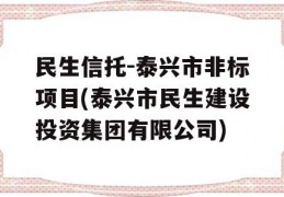 民生信托-泰兴市非标项目(泰兴市民生建设投资集团有限公司)