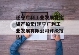 遂宁广利工业发展特定资产拍卖(遂宁广利工业发展有限公司评级报告)