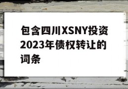 包含四川XSNY投资2023年债权转让的词条