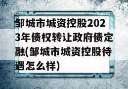 邹城市城资控股2023年债权转让政府债定融(邹城市城资控股待遇怎么样)