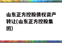 山东正方控股债权资产转让(山东正方控股集团)