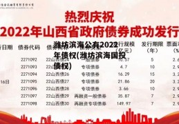 潍坊滨海公有2022年债权(潍坊滨海国投债权)