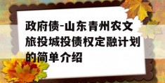 政府债-山东青州农文旅投城投债权定融计划的简单介绍