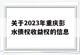 关于2023年重庆彭水债权收益权的信息