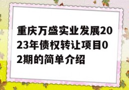 重庆万盛实业发展2023年债权转让项目02期的简单介绍