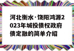 河北衡水·饶阳鸿源2023年城投债权政府债定融的简单介绍