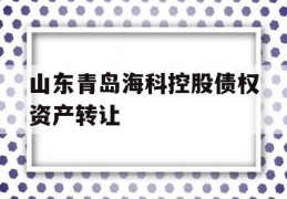 山东青岛海科控股债权资产转让