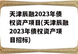 天津辰融2023年债权资产项目(天津辰融2023年债权资产项目招标)