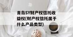 青岛SY财产权信托收益权(财产权信托属于什么产品类型)