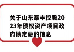 关于山东泰丰控股2023年债权资产项目政府债定融的信息