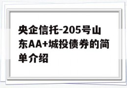 央企信托-205号山东AA+城投债券的简单介绍