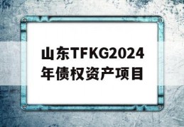 山东TFKG2024年债权资产项目