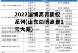 2022淄博高青债权系列(山东淄博高青1号大案)