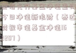 泰信先行基金净值查询今日净值新浪财（泰达荷银市值基金净值162207）