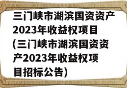 三门峡市湖滨国资资产2023年收益权项目(三门峡市湖滨国资资产2023年收益权项目招标公告)