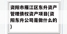 资阳市雁江区东升资产管理债权资产项目(资阳东升公司是做什么的)