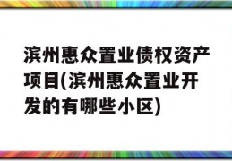 滨州惠众置业债权资产项目(滨州惠众置业开发的有哪些小区)