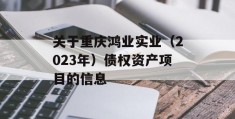 关于重庆鸿业实业（2023年）债权资产项目的信息