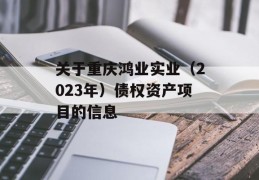 关于重庆鸿业实业（2023年）债权资产项目的信息