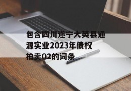 包含四川遂宁大英县通源实业2023年债权拍卖02的词条