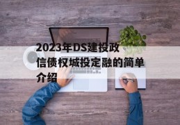 2023年DS建投政信债权城投定融的简单介绍